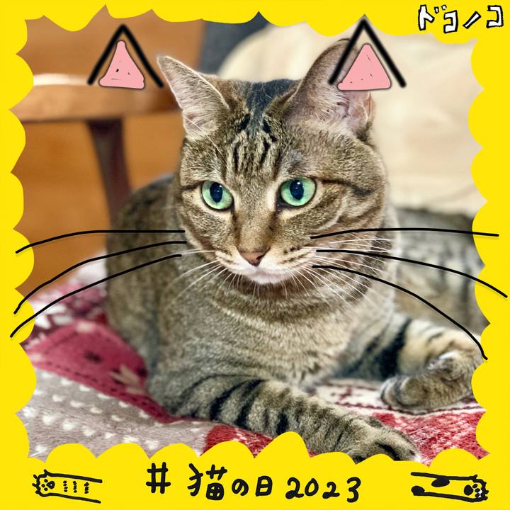 E4d68460 f401 4b8a 8e54 4d0868c9757a 1677031549841