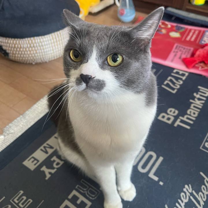 E4d6aa88 20ea 47ea 8174 2da324e029ee 1723946143554