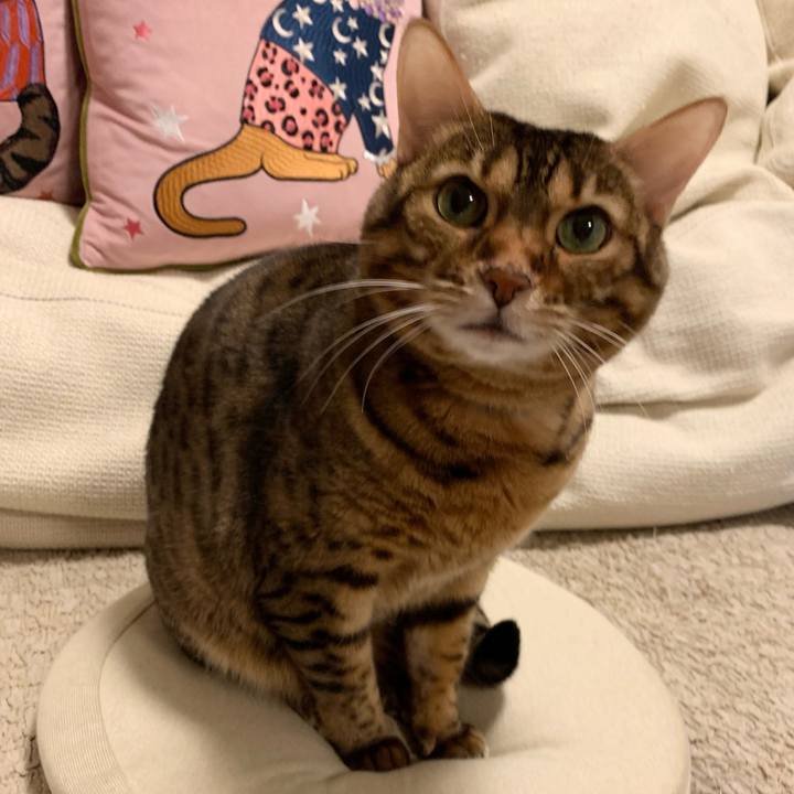 E4d6b899 f524 49d4 b794 f5e850692640 1609546482490