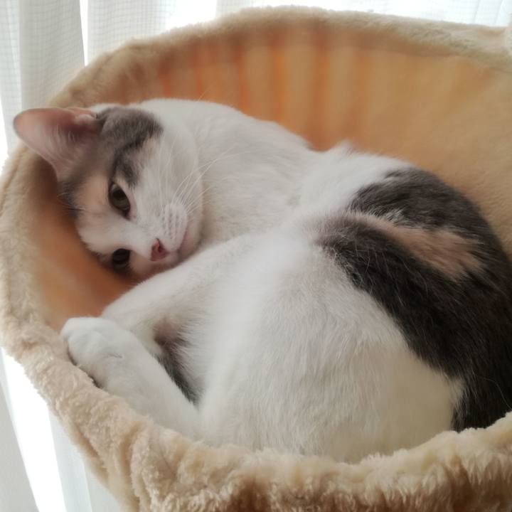 E4d7029f ffb2 4f9d a9ca 07c84b4bc08b 1553243771117