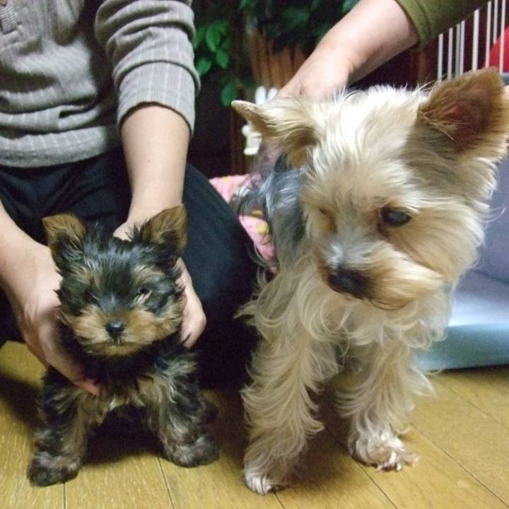 E4d72b65 811a 4558 bca1 14af47d719b4 1715422060997