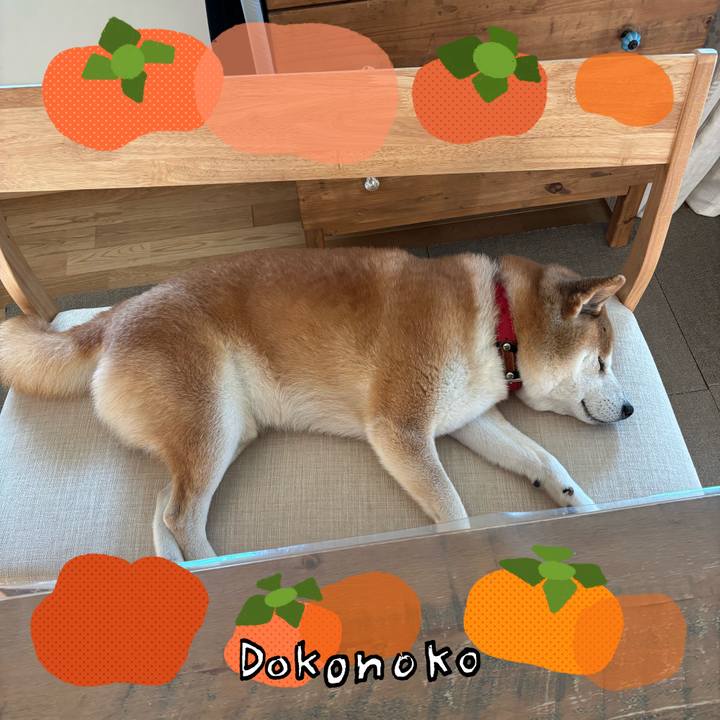 E4d72d81 b5e7 474c 8e10 0f3538596ba2 1763252426035