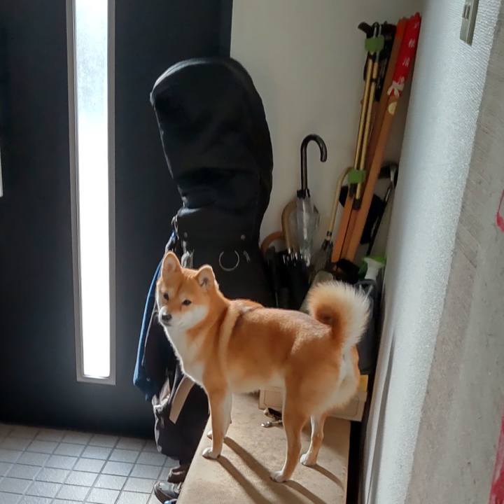 E4d7632c 15ef 4a5f 8fdd f1492aa23135 1671499129443