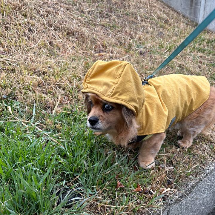 E4d76707 a3b2 40a2 a287 6cb01826c13c 1677112757051