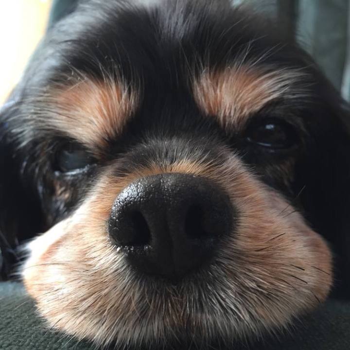 E4d78dcf c4d6 4460 9acd 0a05b13bcaad 1536638572169