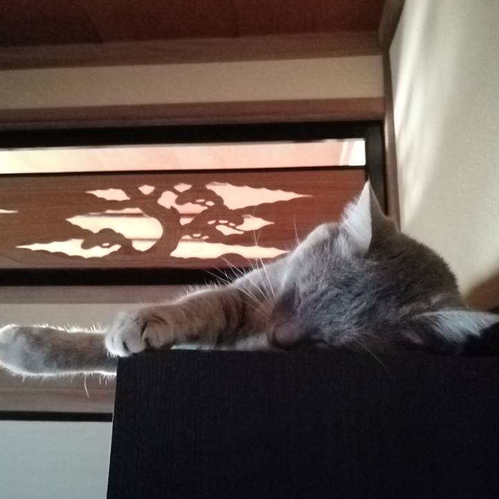 E4d7bf9e aa18 4b74 8e20 532b5f8eb4a3 1534460609066