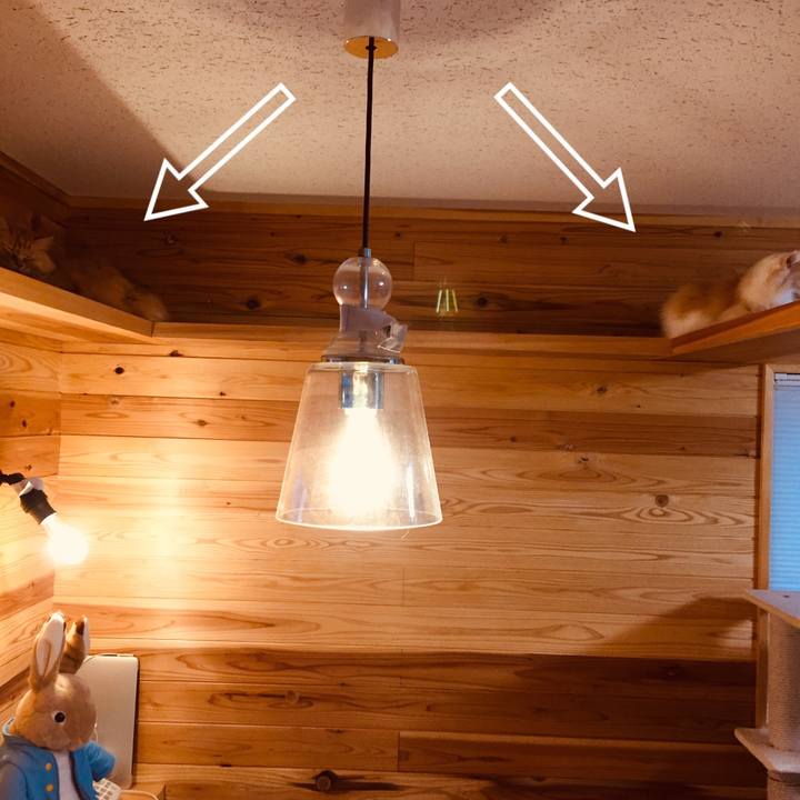 E4d81b74 00e8 4ba4 8181 bf1c65dcea19 1579473680468