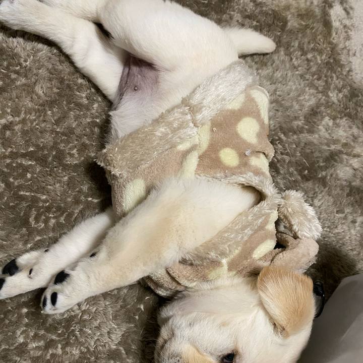 E4d8216c 4fcc 4b18 8325 d6007905c5c1 1612765483543