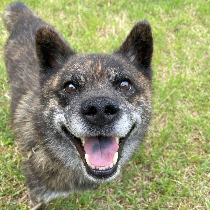 E4d83216 e332 47d3 9dfd aee02b060dae 1594620720301