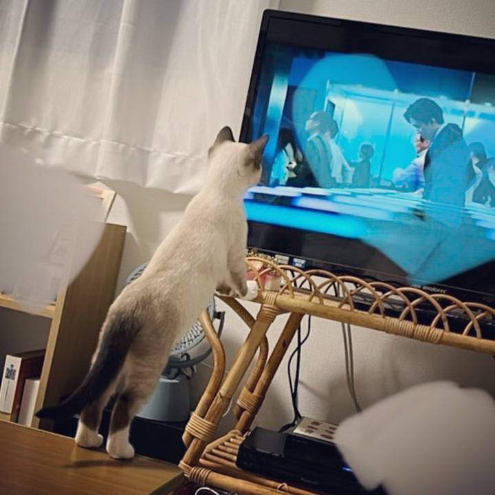 E4d83c7e 6d94 4ff0 a611 af900c8f0fe2 1667524574645