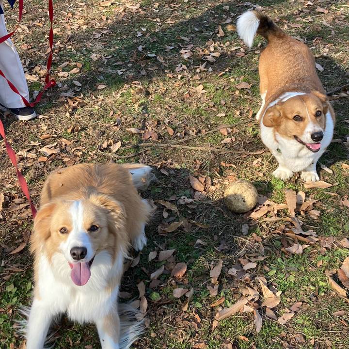 E4d87589 1e1f 4e94 a823 eaabc1ade012 1703900876963