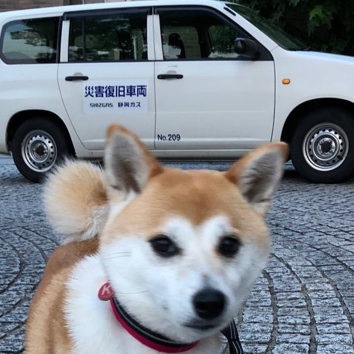 E4d87678 9abd 4c2b a1e9 477aae185af3 1529667041328