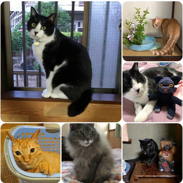 E4d89375 19cf 4c39 bf2c 1e4188497e15 1560335766562