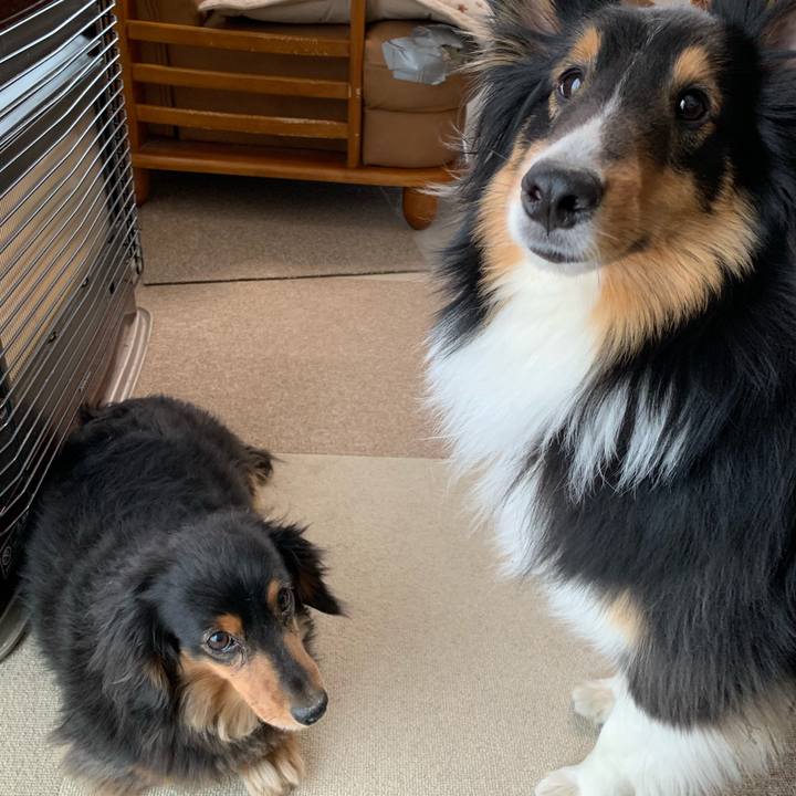 E4d8978f fbf1 44ee 9b63 4104eaa3b85c 1551505053833