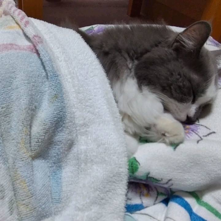 E4d8afcd 9107 4718 a94a 1671cc0dac79 1663793994148