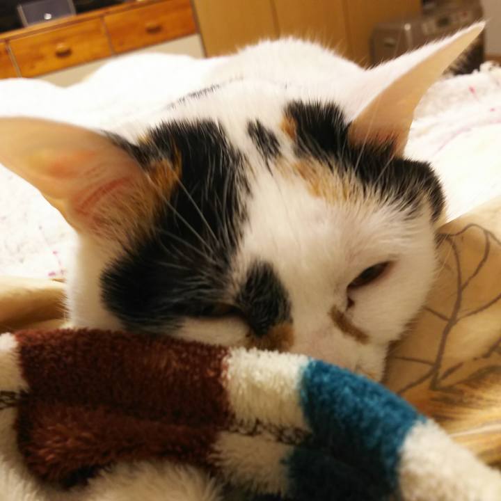 E4d90902 50d9 4864 bf22 a11e096a3d71 1556114111547