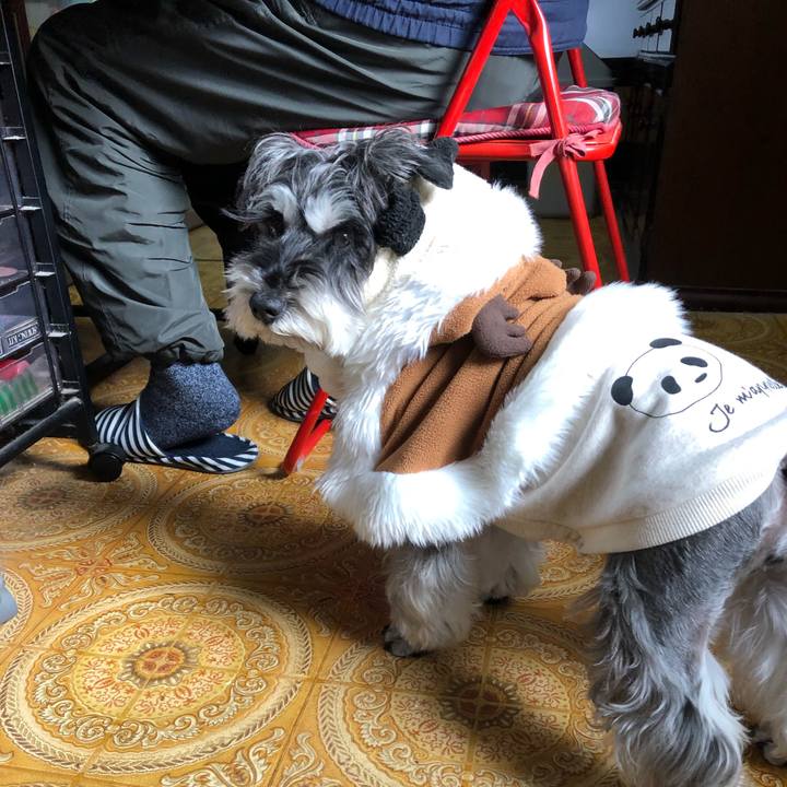 E4d9254a 9976 402a ae0e f61efccb6c88 1671944296513