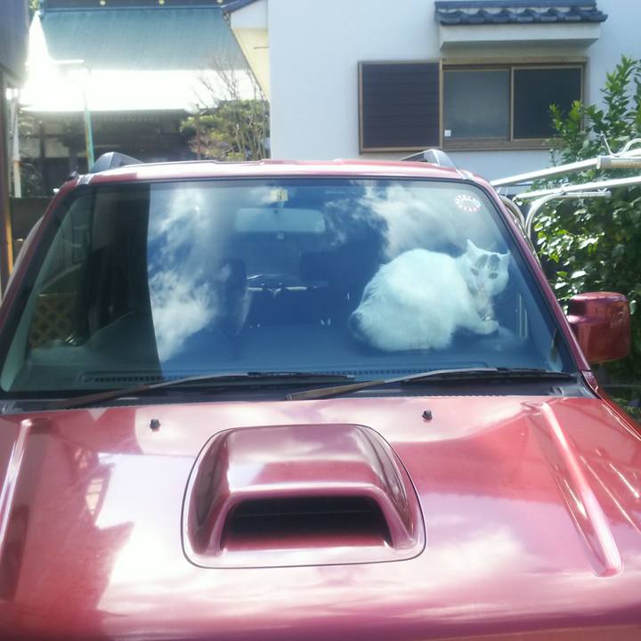 E4d93be8 e913 437e 9659 d235a93d5399 1552883584588