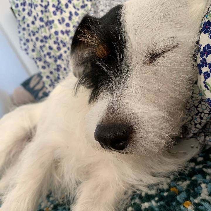 E4d93e8e 04a8 4100 8e1b d54e3021b39b 1564032897505