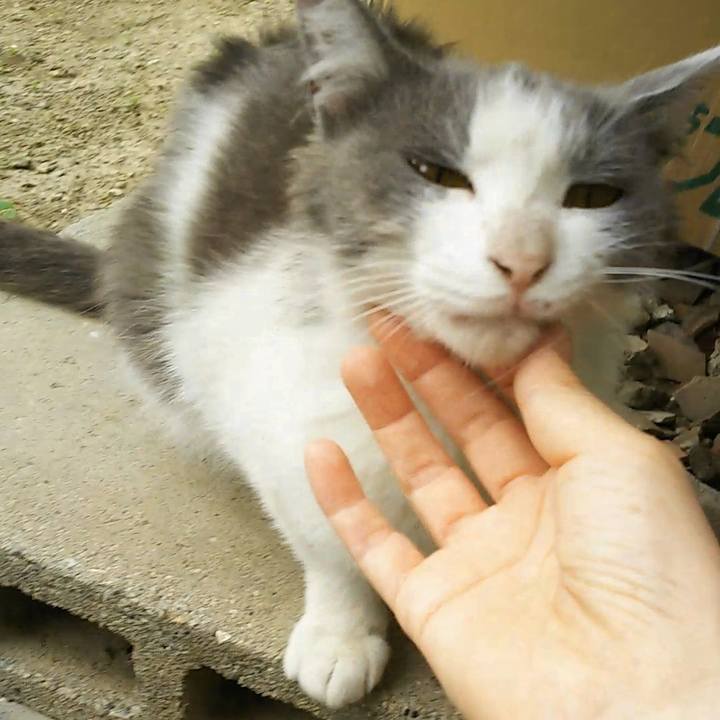 E4d94d2b a27c 457e b29d fb6f7e6908bc 1560484391969