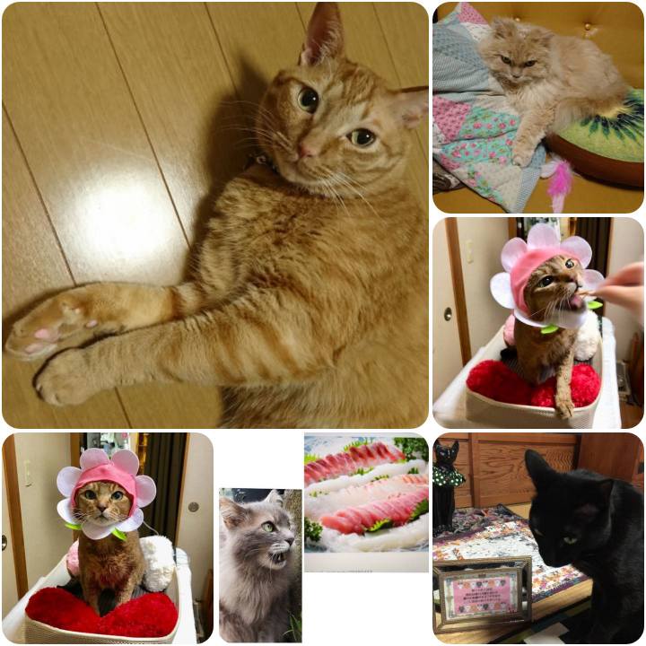 E4d94db0 1e8c 47ba b8b6 e4ae469bdbec 1556941116480