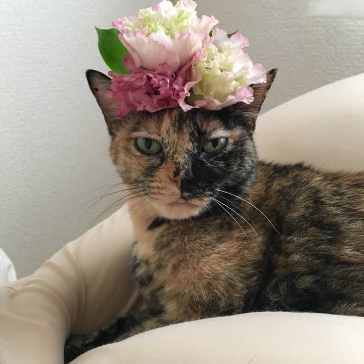 E4d95acd 0a82 4c46 ad18 0537ae2d153b 1537547340723