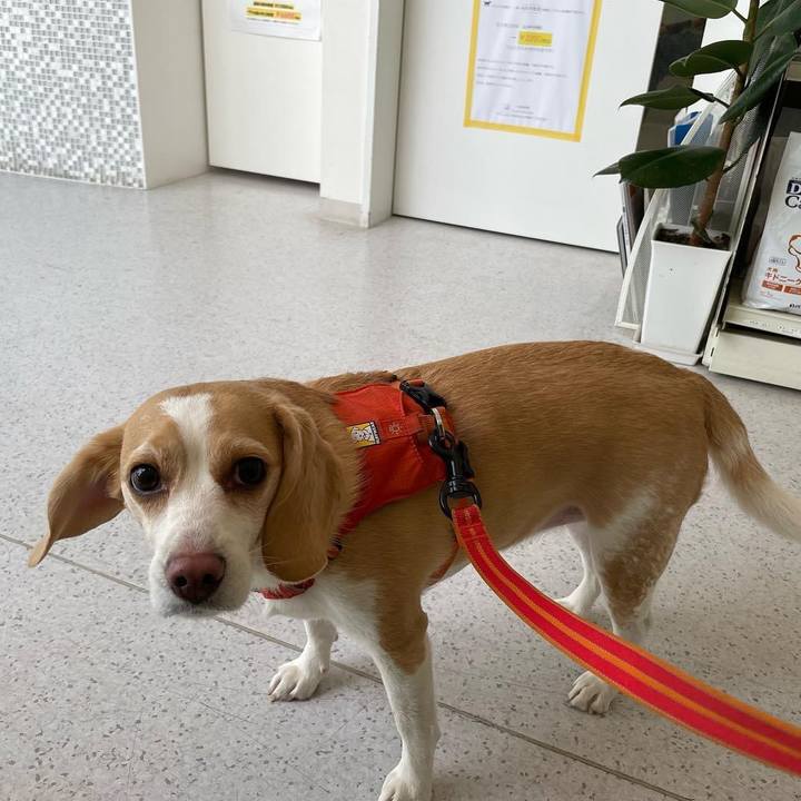 E4d95db8 c70e 4ec4 8652 85e02f131b98 1650532492797