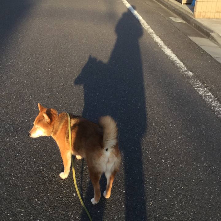 E4d995d2 82dc 4b46 8792 c0bc7cb1d649 1582101161882