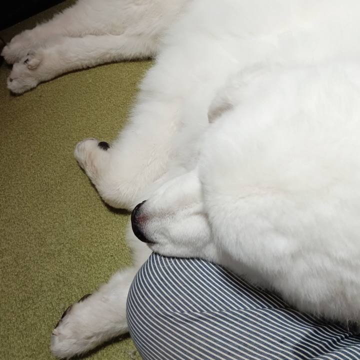 E4d9cc87 0d15 4756 b32d 4d5d36a0ed96 1720557631112