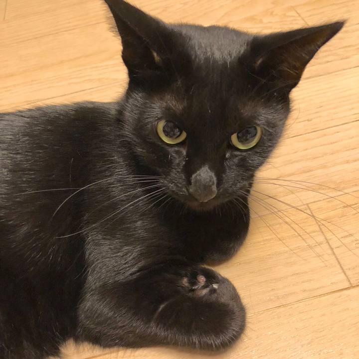 E4d9df44 b710 47b1 9c4a a8d8a9e0d8e2 1537790271351