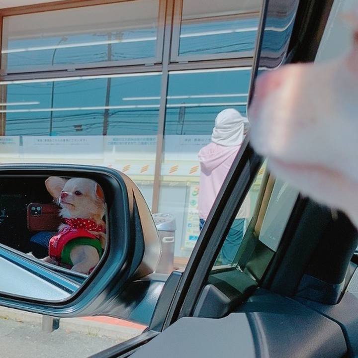 E4d9e4d3 8108 4db9 a493 03fb1c886c74 1632123202781