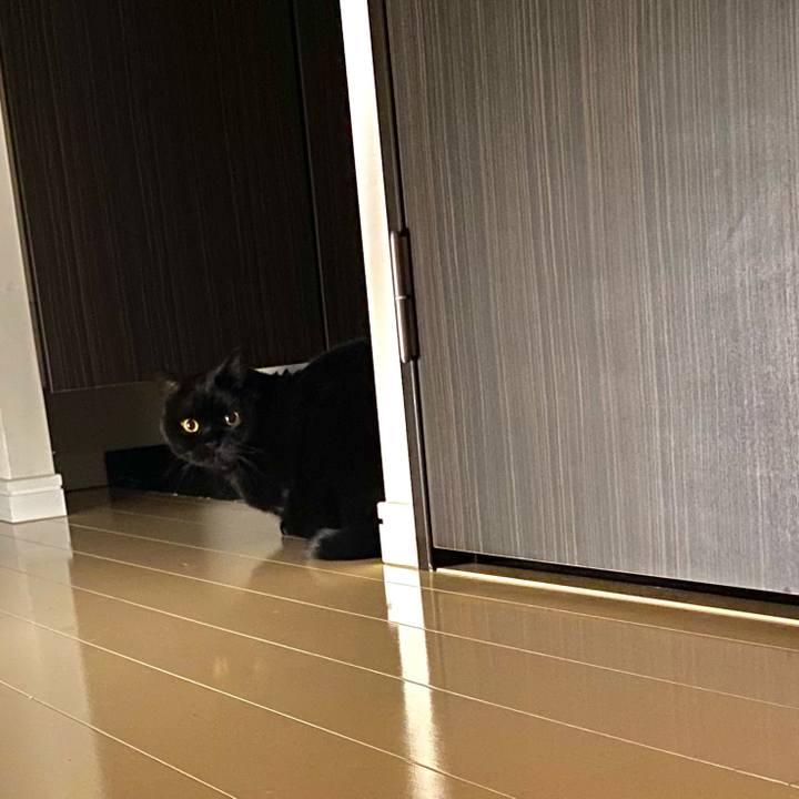 E4da0a35 d197 4db2 98a2 057ac6b63bb4 1607337620626