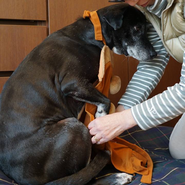 E4da5b64 8234 4711 946d d380e9d05135 1766488700148