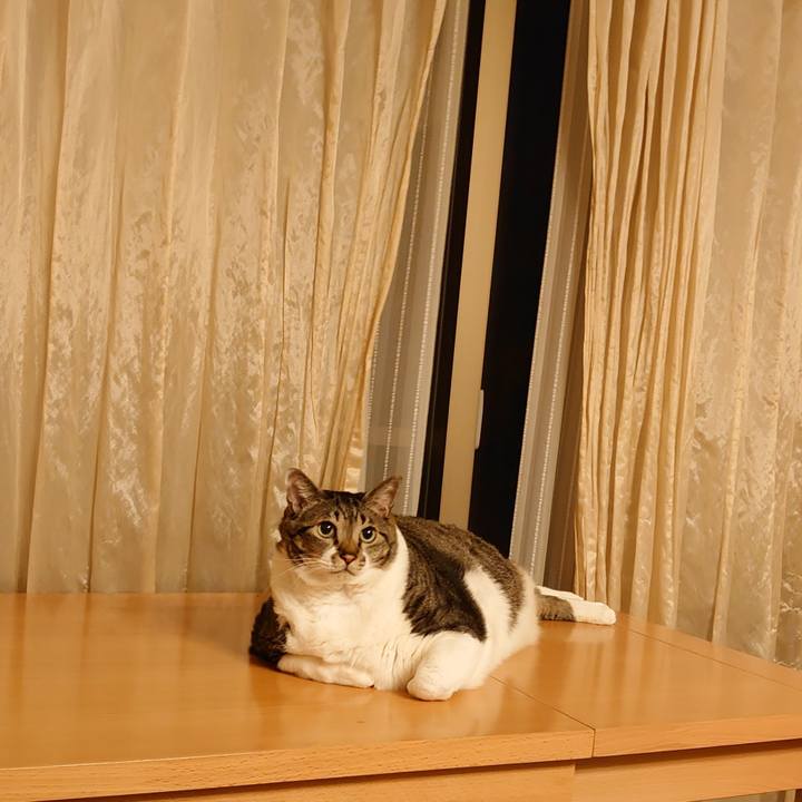 E4dabc53 f909 4188 944c 42eac077783a 1606994067690