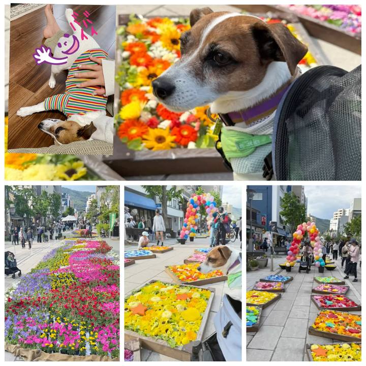 E4dac9ee dc74 438e a534 91bd994cb993 1746525423964