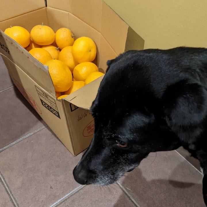 E4daccbc 3960 49e3 ab82 2742f6ea9467 1704503079086