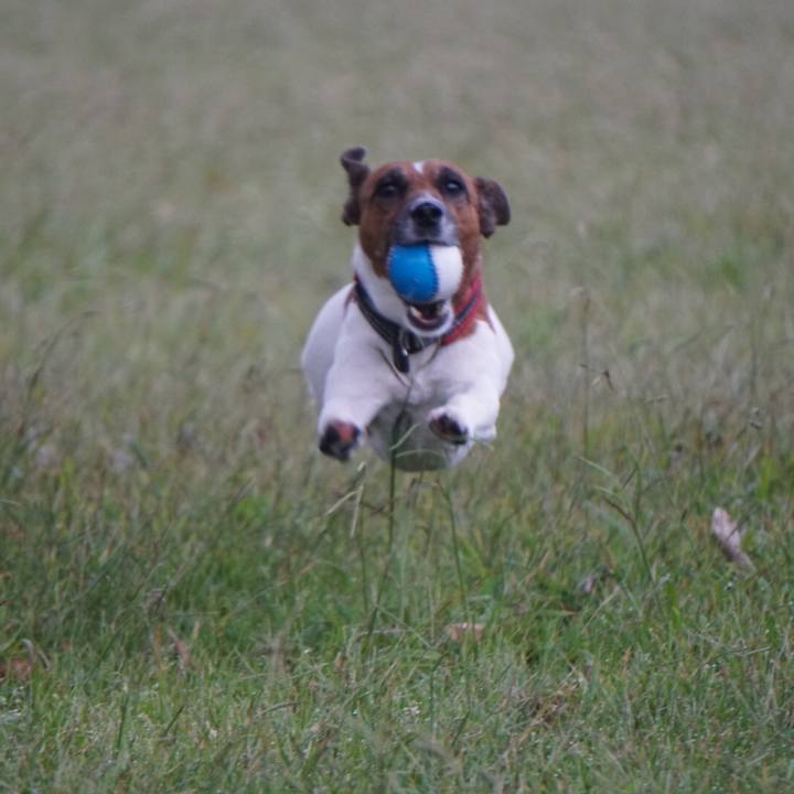 E4db4644 0703 4da6 88f7 224587493e4e 1538608451435