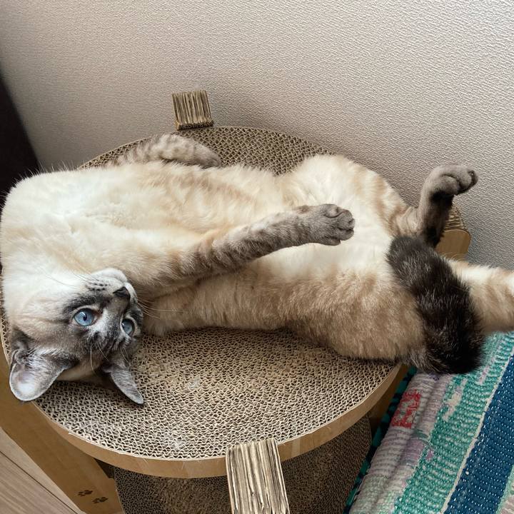 E4db5437 6776 4954 ac43 554fe230f30a 1743036393833