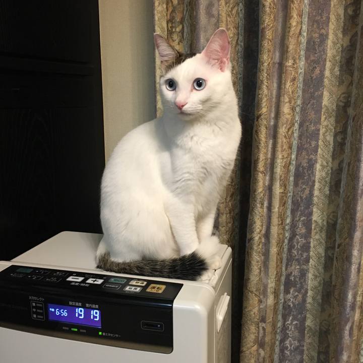 E4db56fb 4228 4829 a0b7 514019836dd7 1546909576049