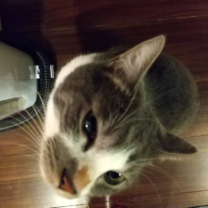 E4db6996 0171 494e b4b6 460def3d588b 1607981545595