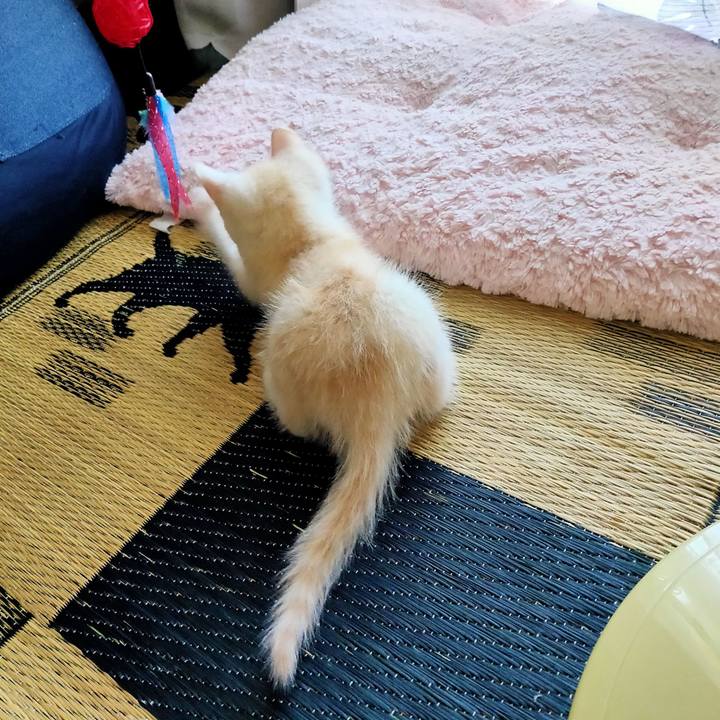 E4db6b1c 7251 49ca bd9b 7784bb597167 1623201602252