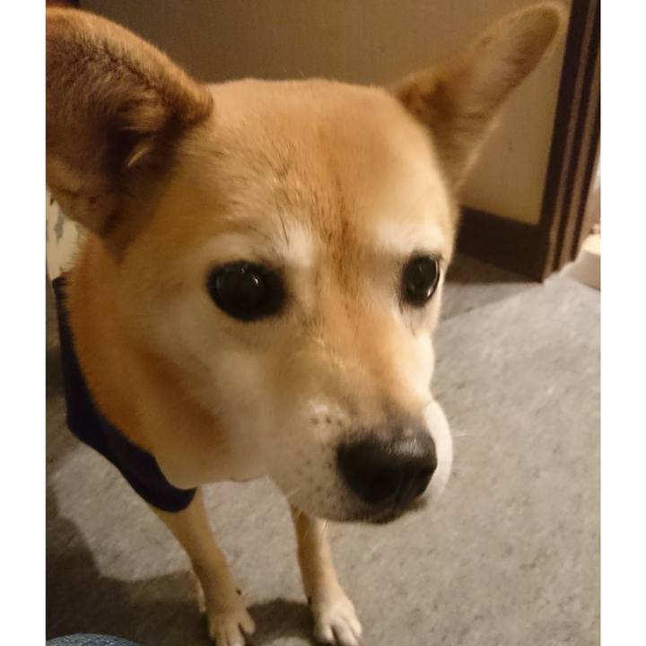 E4db6f7c 126e 4c11 89ca c3f66cac049f 1624699943333