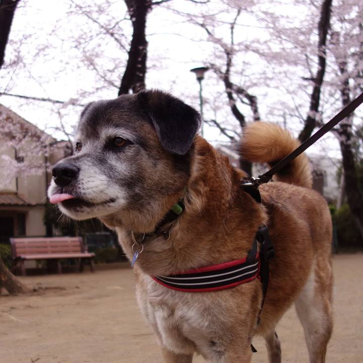 E4dbb880 0991 4eb4 b239 364fd51ff3ab 1553908968356