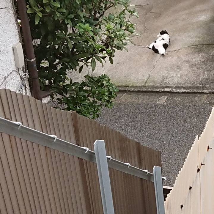 E4dbc614 b7dc 4d1a 8027 c0ae2c88616b 1596406462713