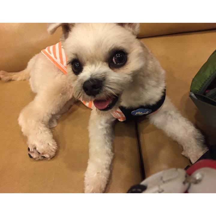 E4dbf8fc 0a9e 4050 90ef 4cc42d26a0f5 1534244391433