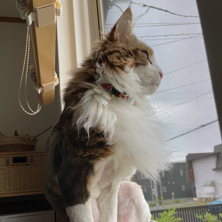 E4dc39b3 74bf 4d8c bdb6 497efd466ebf 1687035507793