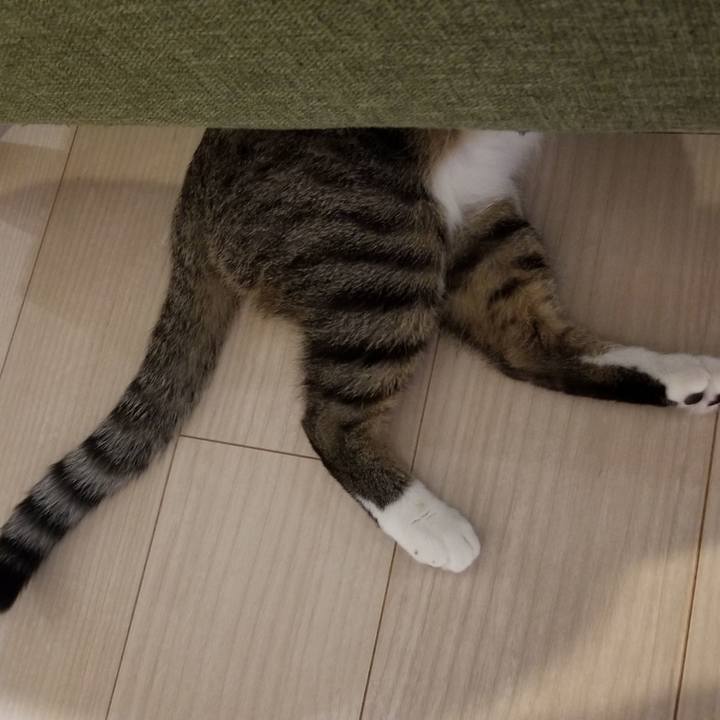 E4dc4441 1c4b 4e53 89da 5ec69b4b804b 1539442861523