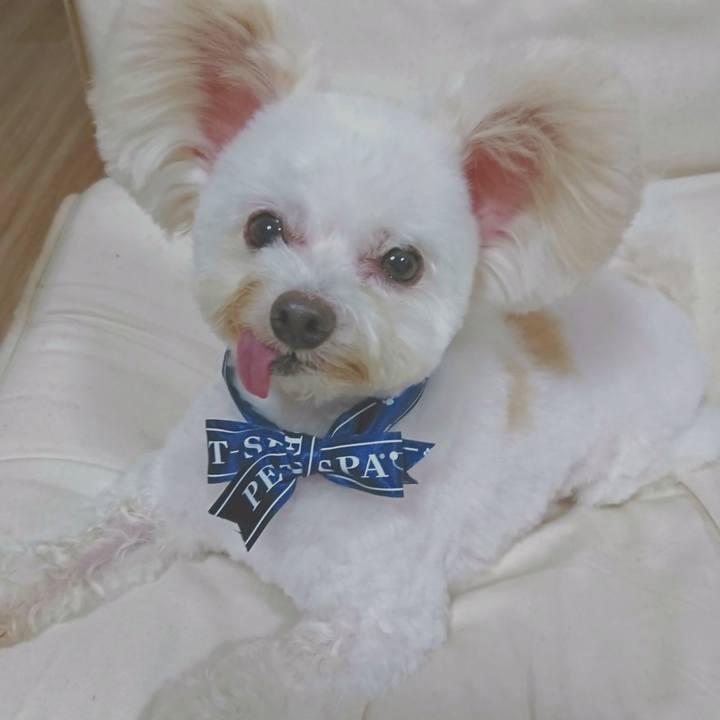 E4dc8ab1 03bd 405b 9f71 2e730f584c2f 1599828916366