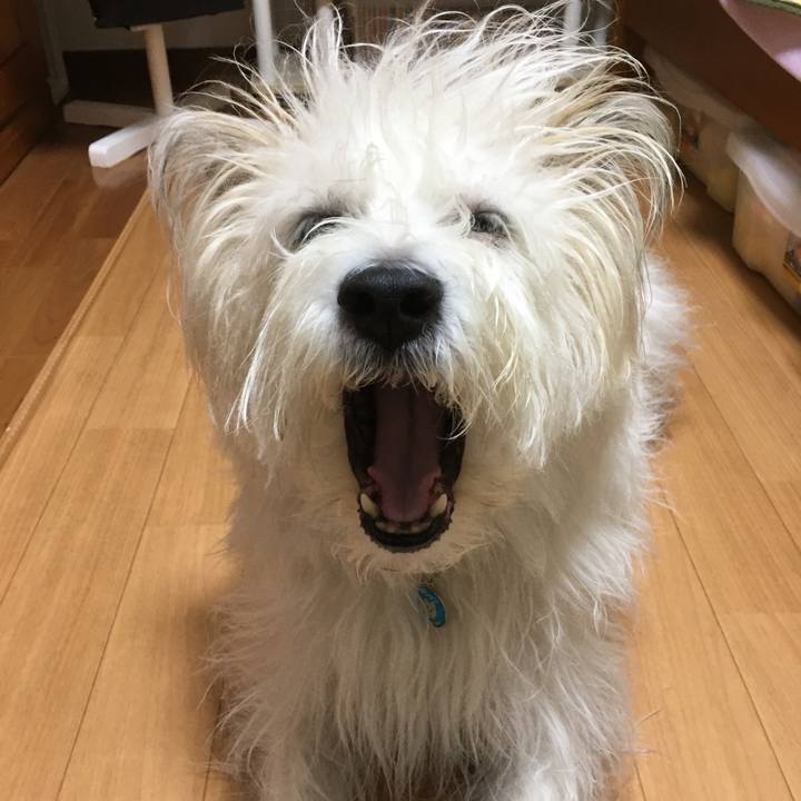 E4dcaf1d e45b 4378 98f5 f93c85b78b0e 1602921145296