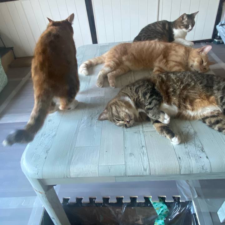 E4dcaf98 1f75 44a5 a66e db46f755490e 1627894144986